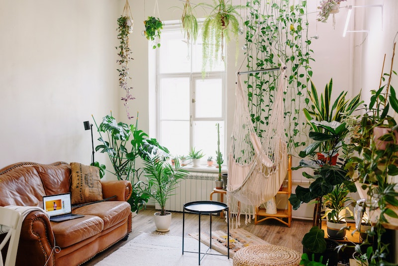 living room with plants and a leather couch